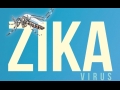 Thông điệp, khuyến cáo phòng chống dịch bệnh do vi rút Zika